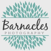 Barnacles Photography 1094770 Image 6